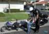 Fun_Pic_ 565 